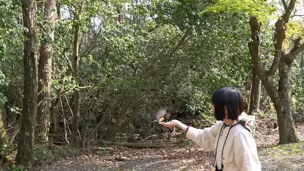 「ヤマハの3輪バイク「トリシティ125」に乗ってバードウォッチングの旅」の画像