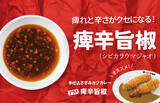 「ココイチ夏の人気メニュー復活！「チキンと夏野菜カレー」登場」の画像3