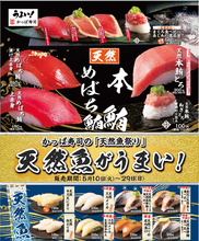 かっぱ寿司「天然魚祭り」開催中！ 「天然本マグロ」「天然金華さば」など国産魚がズラリ