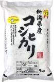 「毎日食べるお米を安く確保！ 令和7年産「新潟県産コシヒカリ」5kgがAmazonタイムセール中」の画像1
