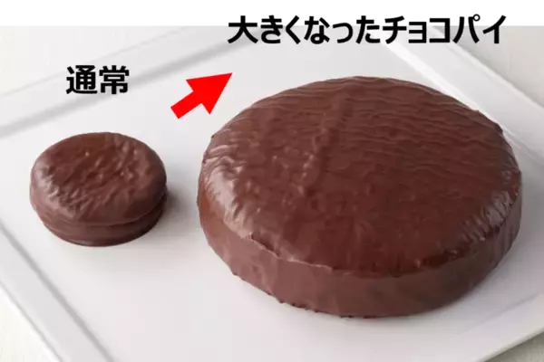 「重量およそ9倍！ ロッテ、「大きくなったチョコパイ」500個限定販売」の画像