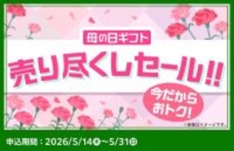 ファミマ「母の日スイーツ」が最大41％オフのアウトレット価格に