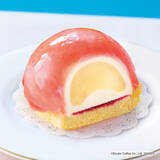 「ドトール、フローズンドリンク“ヨーグルン”新作「佐賀県産ゴールドキウイ」」の画像4