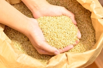 「全粒穀物」が糖尿病リスクを低下！？ポイントは主食から摂る食物繊維