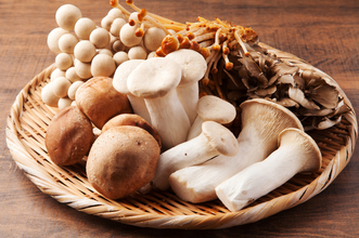きのこの5つの魅力とは？ダイエットだけじゃない効果や食べ方を解説