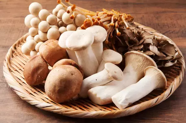 きのこの5つの魅力とは？ダイエットだけじゃない効果や食べ方を解説
