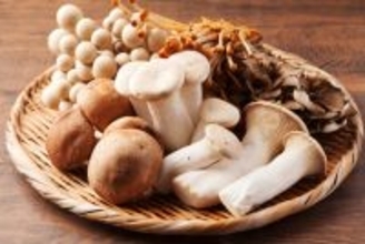 きのこの5つの魅力とは？ダイエットだけじゃない効果や食べ方を解説