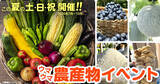 「【道の駅木更津 うまくたの里】土日祝恒例の詰め放題に「メロン」「ブルーベリー」が登場！野菜だけでない、旬の果物も楽しめる「ウマウマ農産物イベント」7月～10月も開催継続！」の画像1