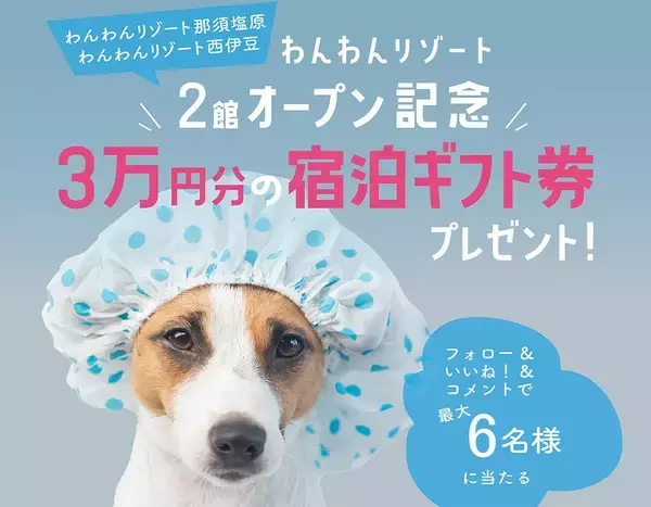 「いいふろギフト券」3万円分が最大6名様に当たる！3月1日Instagram ＆ X プレゼントキャンペーンがスタート！