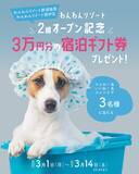 「「いいふろギフト券」3万円分が最大6名様に当たる！3月1日Instagram ＆ X プレゼントキャンペーンがスタート！」の画像2