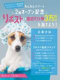 「「いいふろギフト券」3万円分が最大6名様に当たる！3月1日Instagram ＆ X プレゼントキャンペーンがスタート！」の画像3