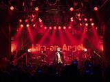 「Like-an-Angel「TOUR 2025-2026 “Crash to Rise”」ツアーファイナル ライヴレポートが到着！」の画像2