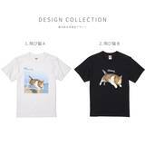 「【2月22日 猫の日】著書累計10万部超「飛び猫」写真家・五十嵐健太とのコラボ猫Tシャツ発売」の画像3