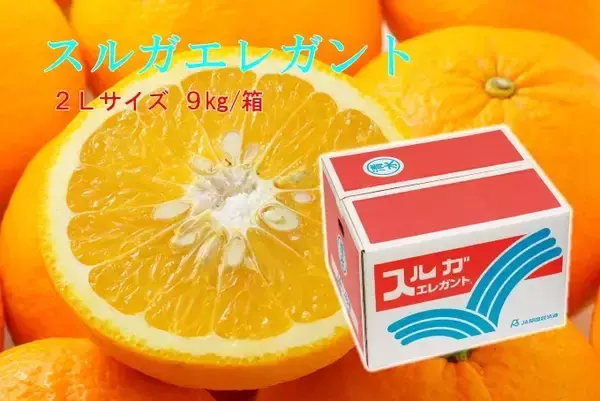 「ＪＡタウンのショップ「ＪＡしみずアンテナショップきらり」で対象商品が２０％ＯＦＦ！」の画像