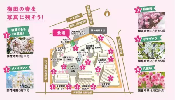 「「大阪ダイヤモンドフェスタ2026～Spring～」を3月23日（月）～4月12日（日）に開催します～10年目のさくらフォトコンに「スマホ部門」など新設。現地イベント「桜日和フェス」も開催～」の画像