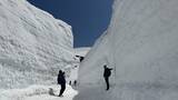 「「立山黒部アルペンルート」、4月15日(水)全線開通　春の絶景「雪の大谷」の高さは12mに！」の画像3