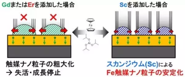 カーボンナノチューブを効率よく成長させる触媒を開発　高品質なカーボンナノチューブを生む新たな合成法の開発に期待