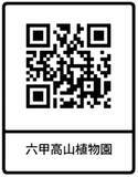 「六甲高山植物園 日本の里山に咲く固有種ササユリが咲きました！」の画像2