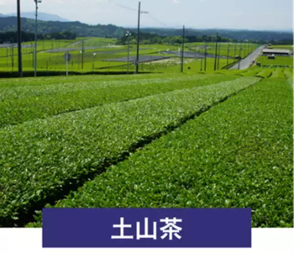 「滋賀県甲賀市 日本最古の茶処を巡ろう！近江・甲賀の茶めぐり「ごせんいん御煎印」を販売します！」の画像