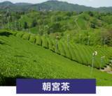 「滋賀県甲賀市 日本最古の茶処を巡ろう！近江・甲賀の茶めぐり「ごせんいん御煎印」を販売します！」の画像4