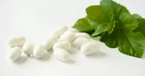 「“食べる、シルク。” 新発想・シルクの食品ブランド《Gourmet Silk（グルメシルク）》が美と健康を支える。」の画像