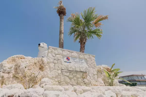 淡路島"天国の海"でプチハワイフェスタを開催4月25・26日の2日間限定、入場無料イベントバーガー×ソフトクリーム×花畑を2,800円で巡るツアーも