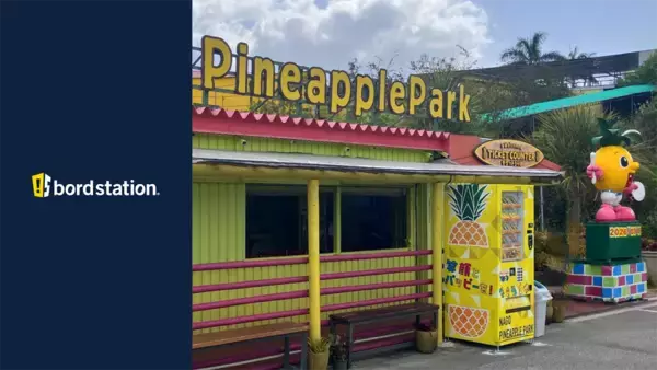 【ボードステーション導入事例】　沖縄県名護市「ナゴパイナップルパーク」にオリジナルグッズが買える自販機を設置
