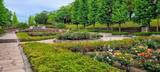 「【5/11～17開催】バラの香りに包まれる至福の一週間。秋留台公園「ローズフェスタ2026春」」の画像1