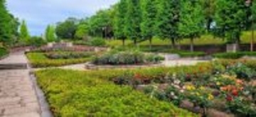 【5/11～17開催】バラの香りに包まれる至福の一週間。秋留台公園「ローズフェスタ2026春」