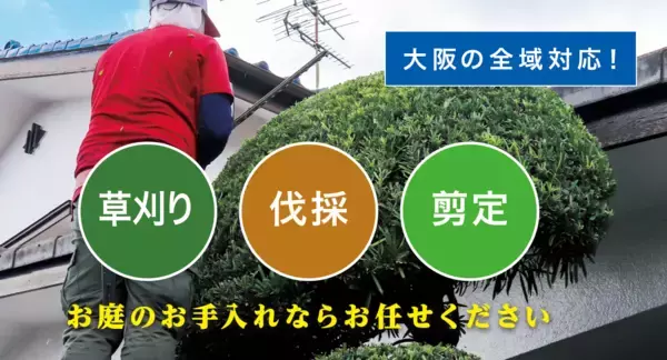 「大阪・埼玉・愛知エリアで新展開！草刈り・庭木剪定・庭木伐採など、お庭のお困りごとを解決する新サービス「お庭の大将」を開始！」の画像