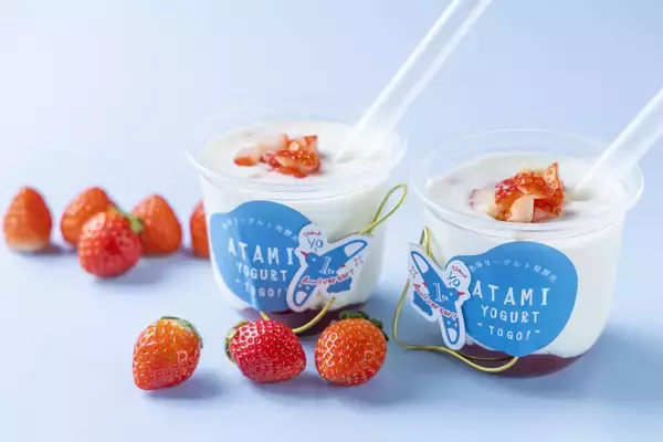 「熱海・ヨーグルト専門店　熱海ヨーグルト発酵所　にて1周年を記念した「周年祭」を開催！」の画像