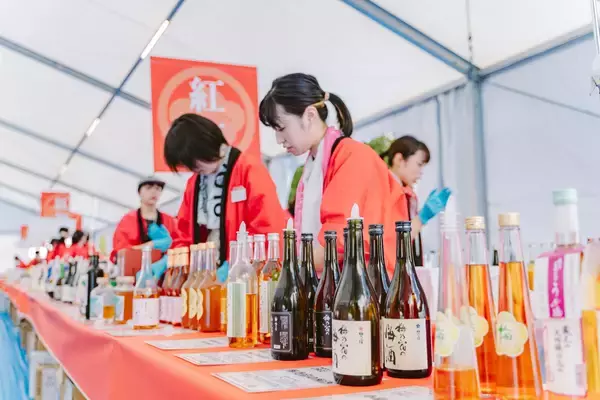 「【駅直結で全国120種以上の梅酒を飲み比べ】「全国梅酒まつり in JR博多シティ2026」開催決定！」の画像