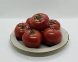 「房総・村の駅 八周年祭、開催！千葉の「美味しい」が詰まった特別な20日間！」の画像3