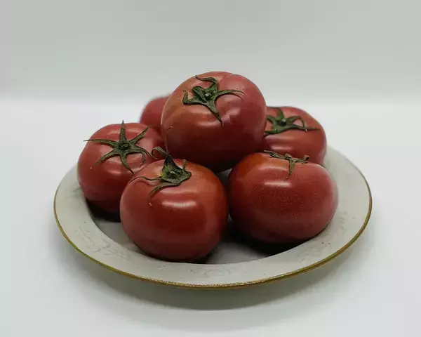 「房総・村の駅 八周年祭、開催！千葉の「美味しい」が詰まった特別な20日間！」の画像