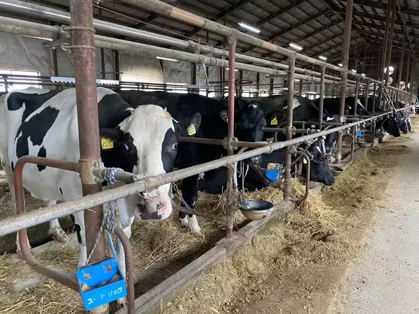 「香川初出店！北海道札幌で連日大行列の北海道生仕立てドーナッツ専門店『MILK DO dore iku?』5/30(土)屋島店オープン！」の画像