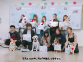 【岡山理科大学専門学校】実習犬たちの「卒業式」を７年ぶり再開へ