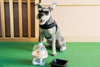 愛犬の"飲み水"にもこだわる新サービス　犬用浄軟水器を全客室に導入～くにさき 森と海のドッグリゾート～