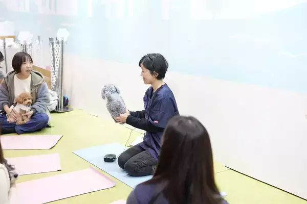 【愛犬の整体講座＆相談会】熱海の温泉リゾート宿にて開催お散歩前のマッサージ方法も学べる｜2026年4月26日（日）