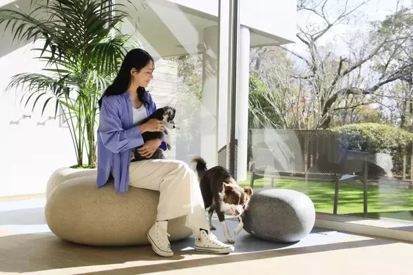 「【愛犬の整体講座＆相談会】熱海の温泉リゾート宿にて開催お散歩前のマッサージ方法も学べる｜2026年4月26日（日）」の画像