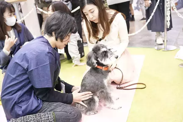 「【愛犬の整体講座＆相談会】熱海の温泉リゾート宿にて開催お散歩前のマッサージ方法も学べる｜2026年4月26日（日）」の画像