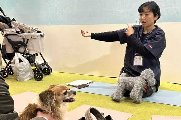 「【愛犬の整体講座＆相談会】熱海の温泉リゾート宿にて開催お散歩前のマッサージ方法も学べる｜2026年4月26日（日）」の画像