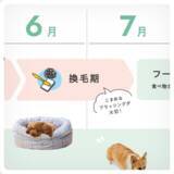 「【先着5,000名】3,000円以上の購入で季節のTODOが見える「わんにゃん健康カレンダー」プレゼント」の画像4