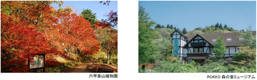 六甲高山植物園 ROKKO森の音ミュージアム文化の秋 月曜こども無料キャンペーン秋の月曜日は、こども入場無料