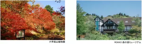 六甲高山植物園 ROKKO森の音ミュージアム文化の秋 月曜こども無料キャンペーン秋の月曜日は、こども入場無料