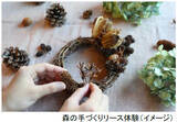 「六甲高山植物園 ROKKO森の音ミュージアム文化の秋 月曜こども無料キャンペーン秋の月曜日は、こども入場無料」の画像3