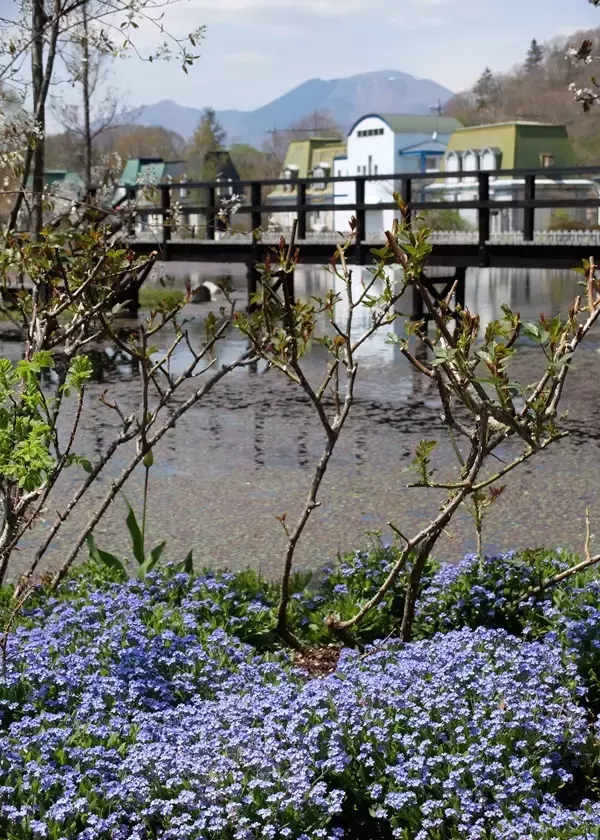 「「軽井沢レイクガーデン」2026年の開園期間は4月17日(金)～11月8日(日)　約1万坪の庭園にイングリッシュローズやハーブなどが咲き誇る」の画像