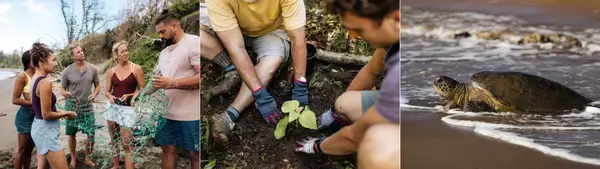 「4月22日（水）は「アースデー」！ハワイ州観光局、ハワイの環境保護活動の最新情報を公開」の画像