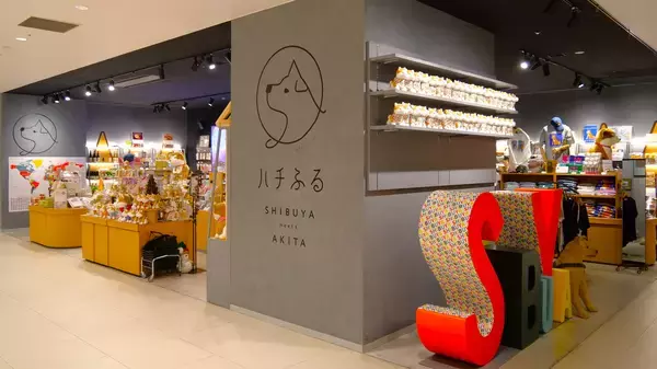 「【令和8年8月8日】トリプル「8」の日に発表！ヨックモック・地域バージョンの秋田デザイン缶が誕生～かわいい秋田犬の子犬と秋田の四季と名所を巡るパッケージ～9月1日(火)秋田県内で販売開始」の画像