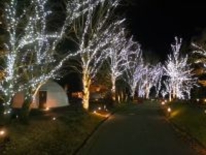 グランピングリゾート ブリリアントヴィレッジ日光　まもなく開業3周年！4万球のLEDが灯る「イルミネーションナイト2025」11月29日より点灯開始！