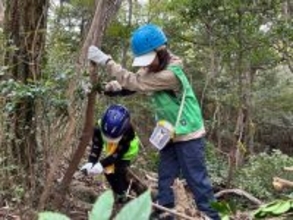 2026年4月 兵庫県にて「六甲山の森づくり」開催決定